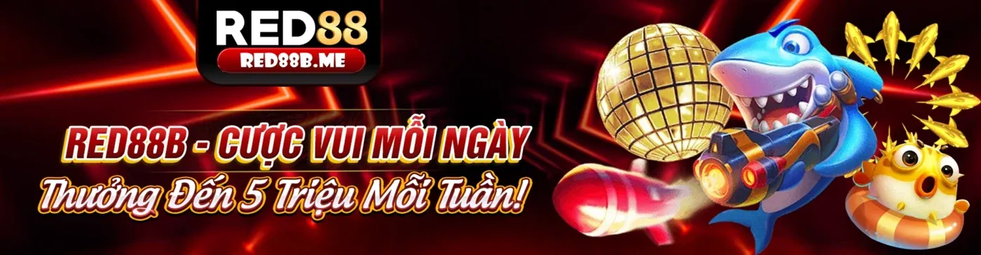 Hình ảnh chính về các chương trình khuyến mãi b99 khuyến mãi